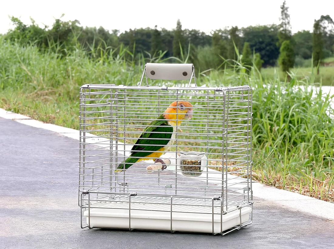 YOOSO WING Bird Carrier Travel Cage