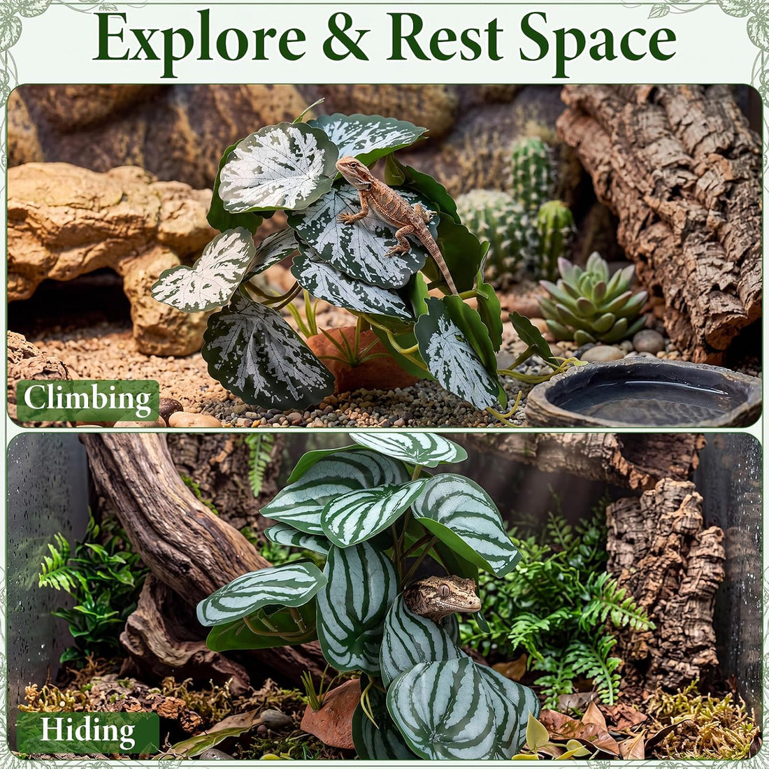 Suncalla 4 Pack Reptile Plants for Terrarium