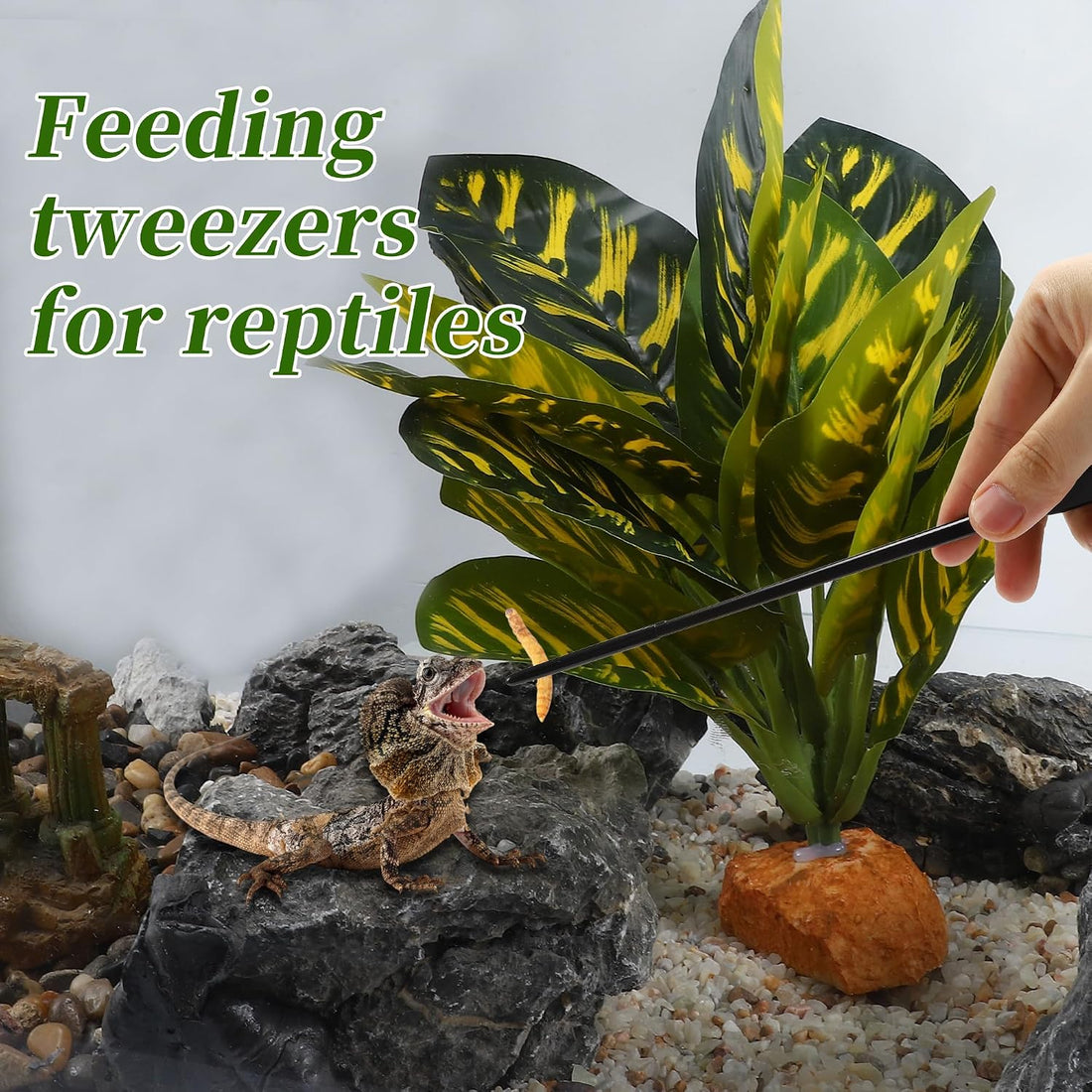 Reptile Feeding Tongs, Stainless Steel Lizard Feeding Tongs