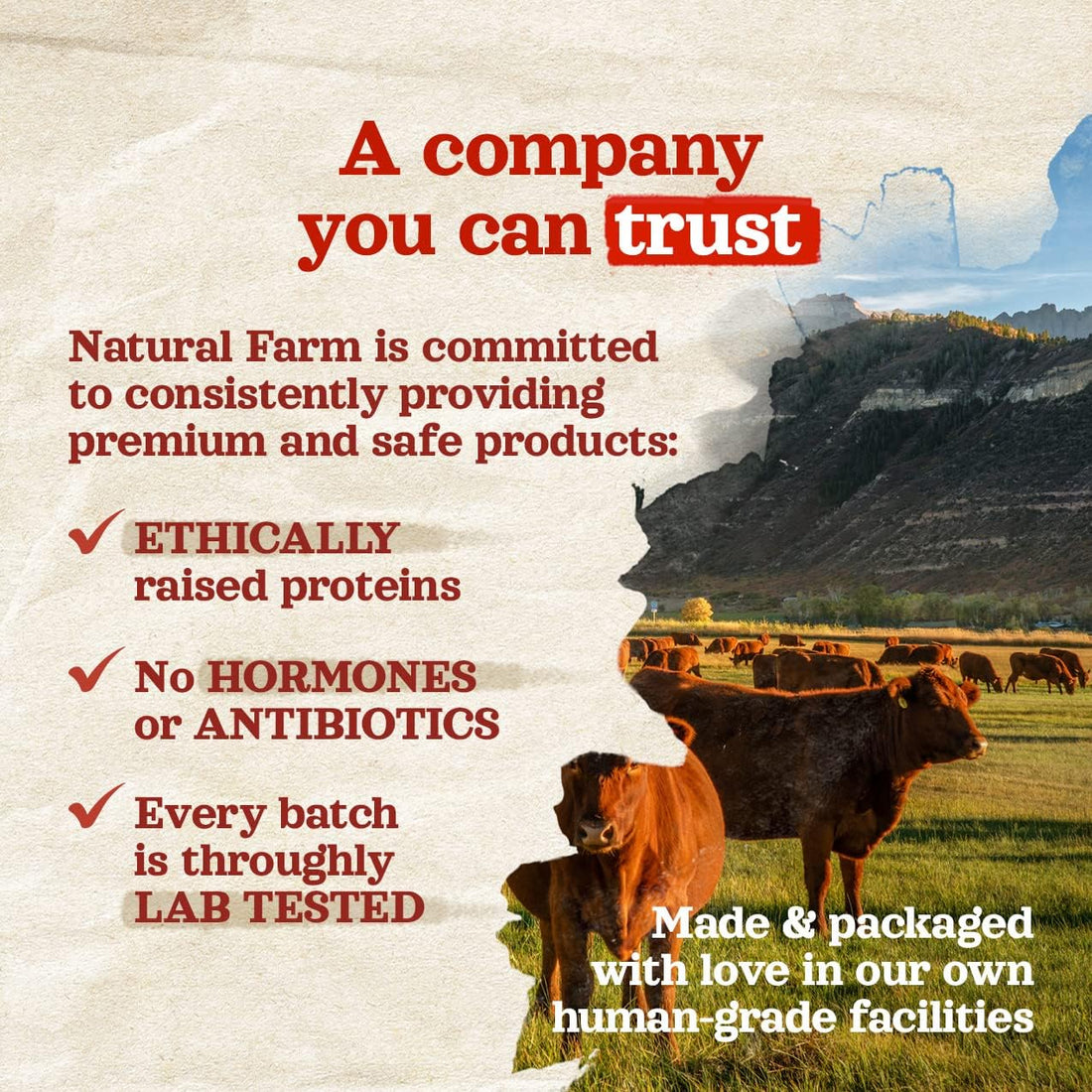 Natural Farm Peanut Butter Flavor Filled Dog Bones
