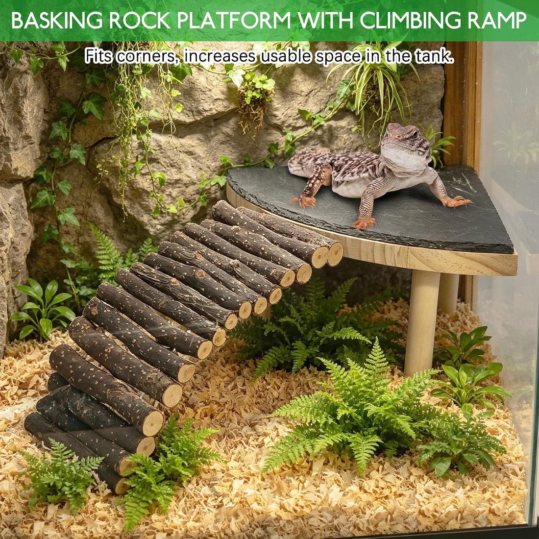 BNOSDM Bearded Dragon Basking Platform Climbing Rocks for Reptiles