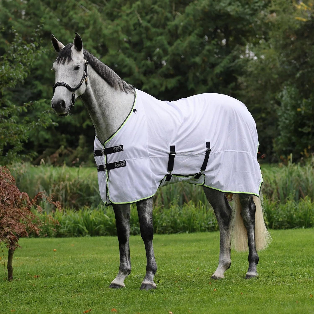 Shires Asker Fly Sheet - White Breathable Mesh Horse Fly Protection