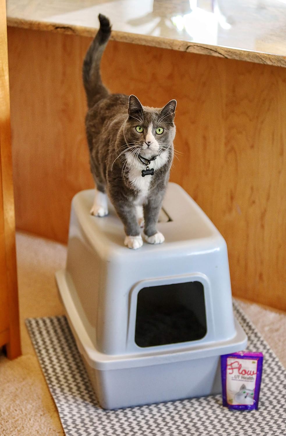 In Clover Flow Soft Chews for Daily Support for UT Health in Cats