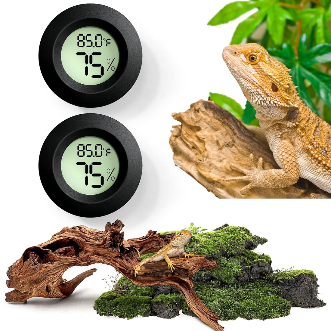 Reptile Thermometer and Humidity Gauge,2PCS Digital Hygrometer