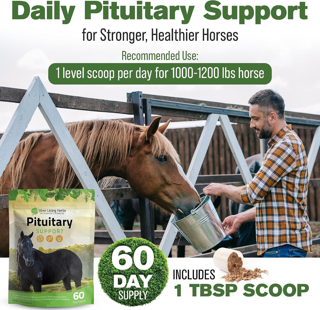Silver Lining Herbs Horse Pituitary Gland Supplements - 1 lb