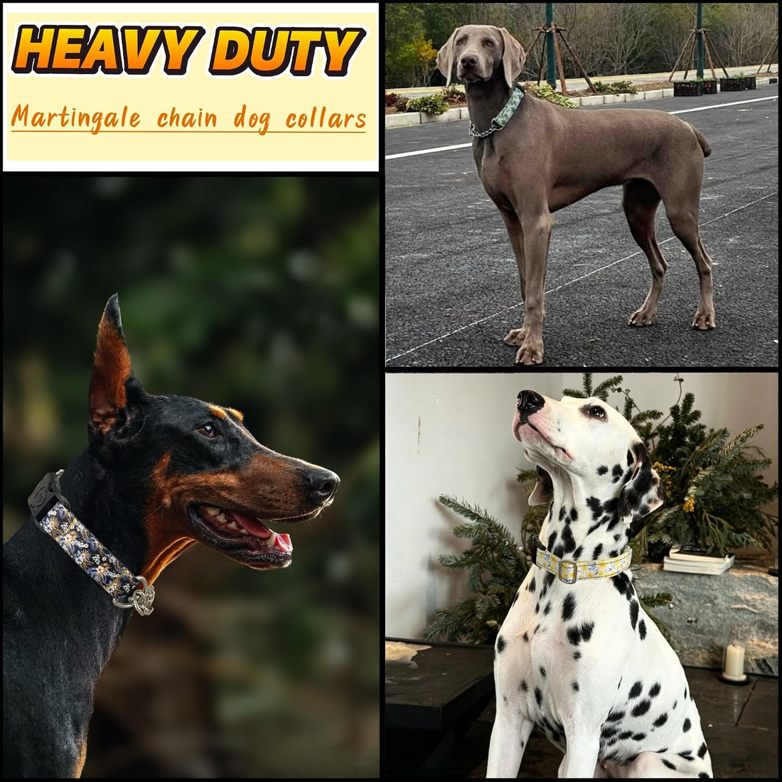 Martingale Dog Collar with Chain, Reflective Nylon Adjustable Collar
