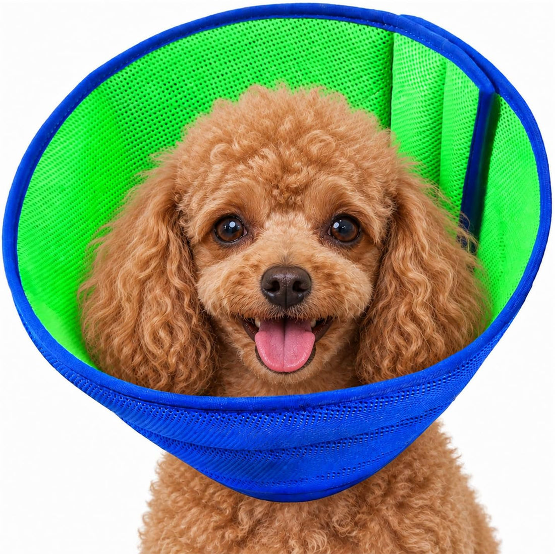 Soft Dog Cone Recovery Collars & Cones After Surgery for XLarge Dogs