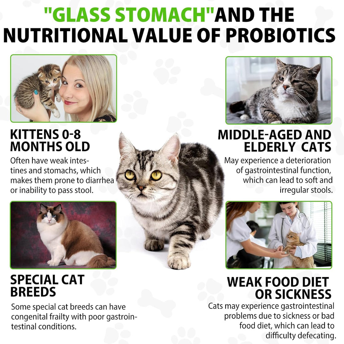 Cat Constipation Relief, Cat Laxative, Constipation Relief for Cat