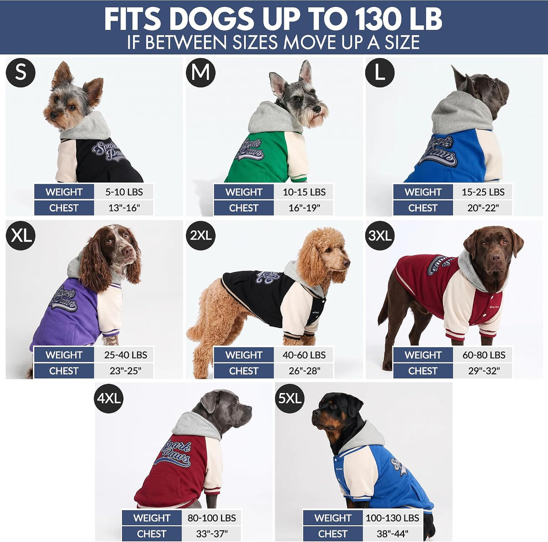 Spark Paws Varsity Dog Jacket