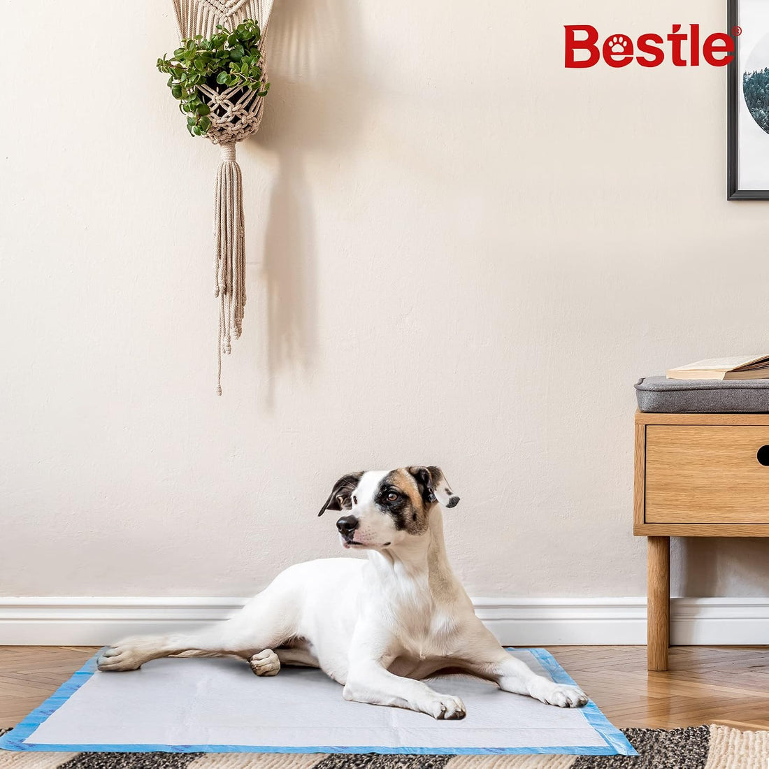 BESTLE Extra Large Pet Training and Puppy Pads Pee Pads for Dogs