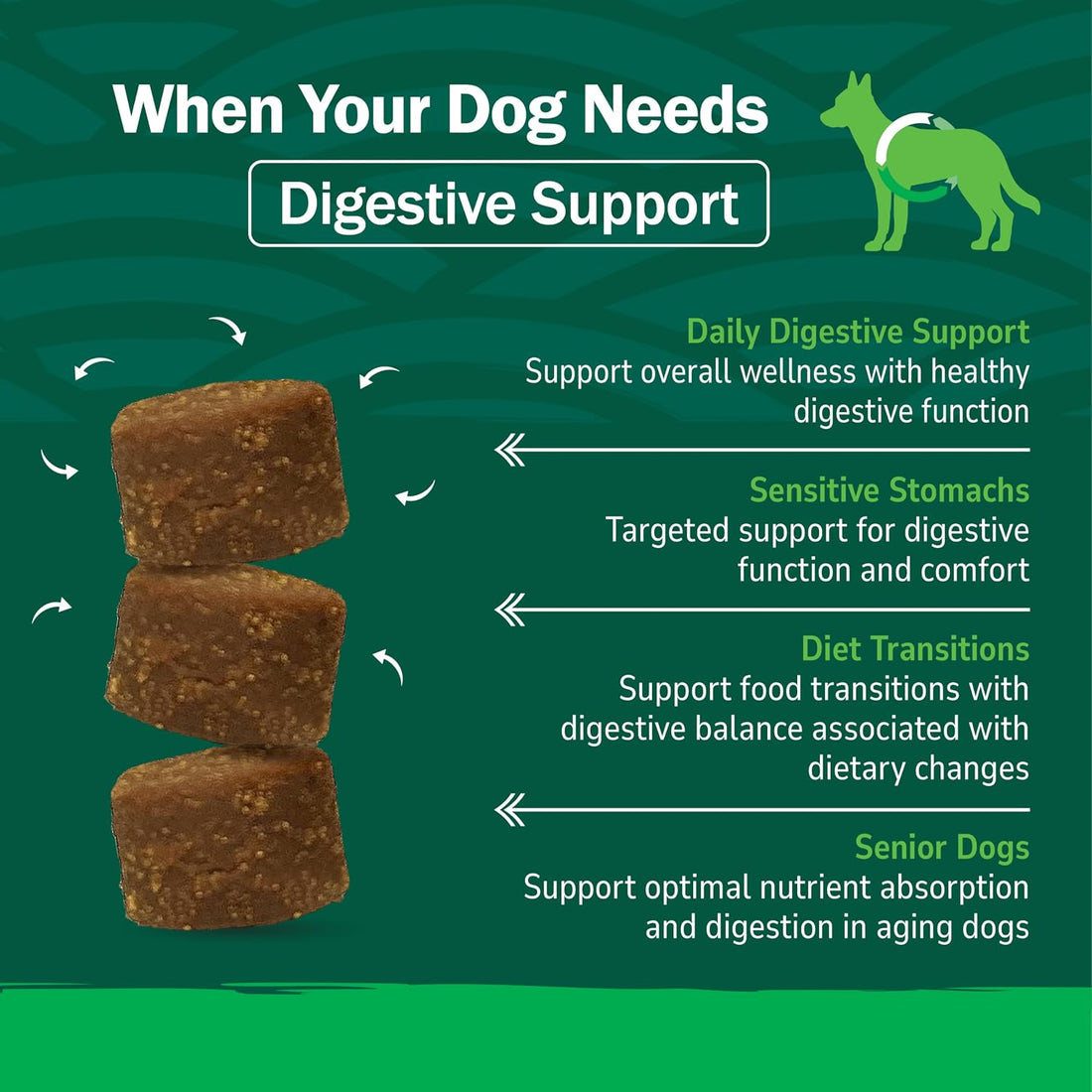 PetNC Natural Care Liver Flavor,Cheese Pre & Probiotic Soft Chews