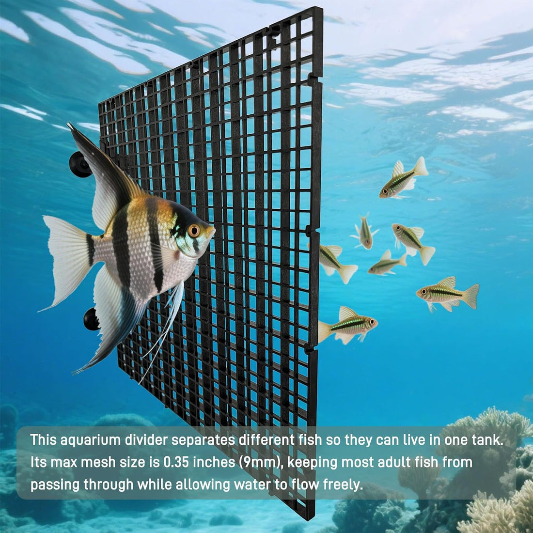 Black Aquarium Divider Panel Fish Tank Separator Plastic Grid