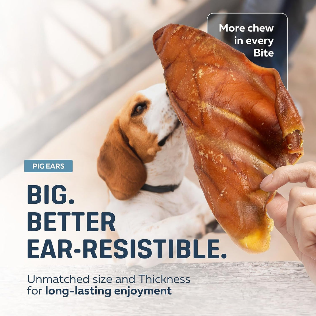 Big Lu – Whole Pig Ears for Dogs, 12 Count