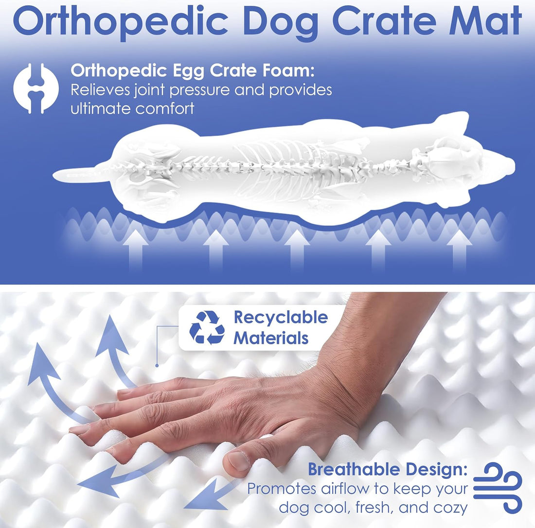 AKC Orthopedic Memory Foam Dog Crate Mat, 24" x 19"