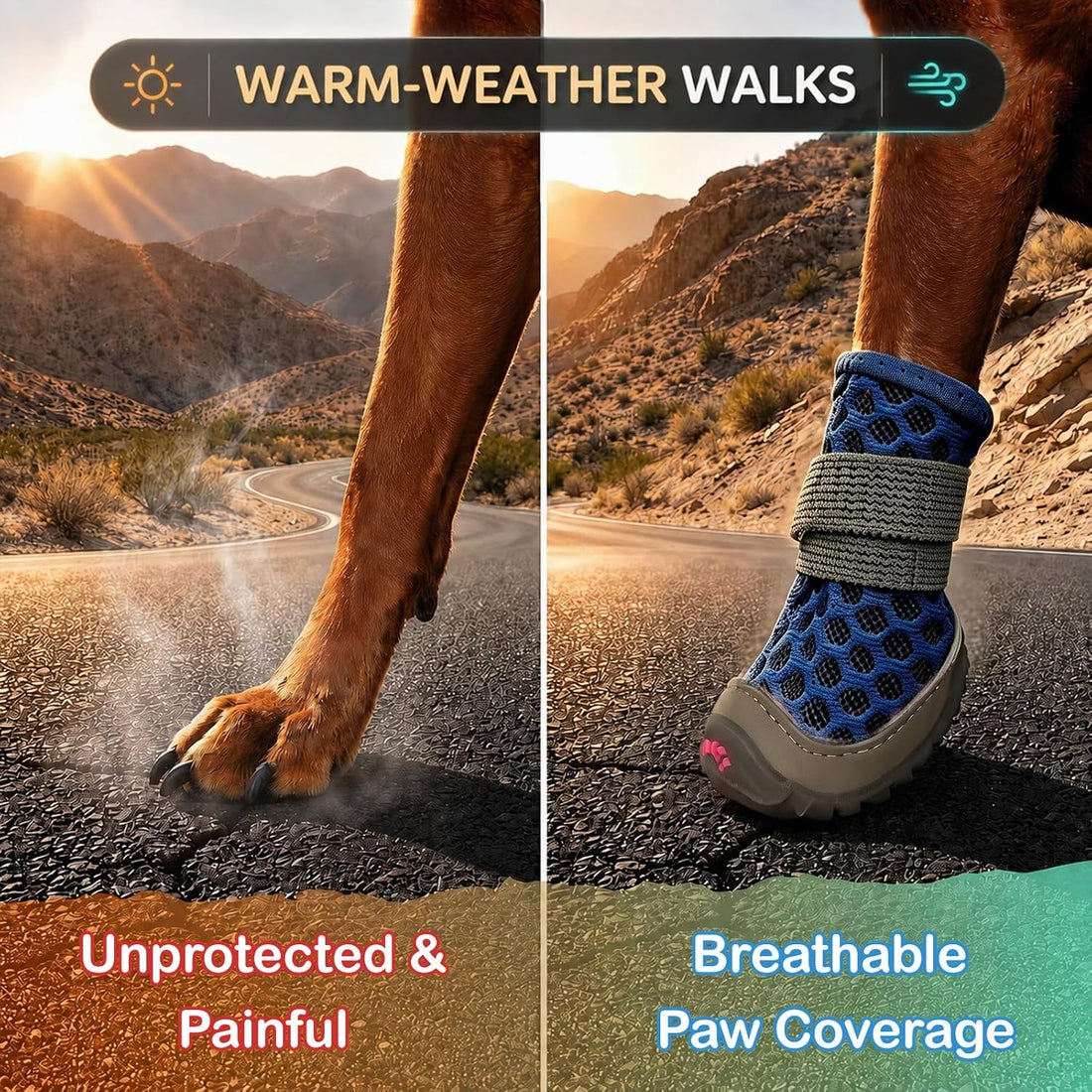 Dog Shoes for Small Dogs, Puppy Boots for Hot Pavement, Blue Size 3