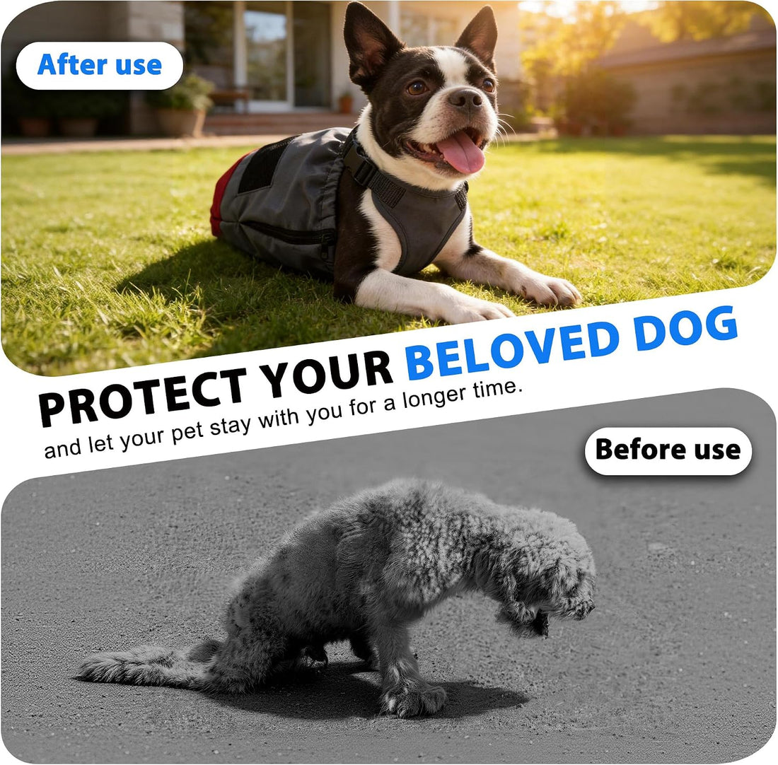 Dog Drag Bag for Paralyzed Dogs XL 44-64lbs Indoor Mobility Aid