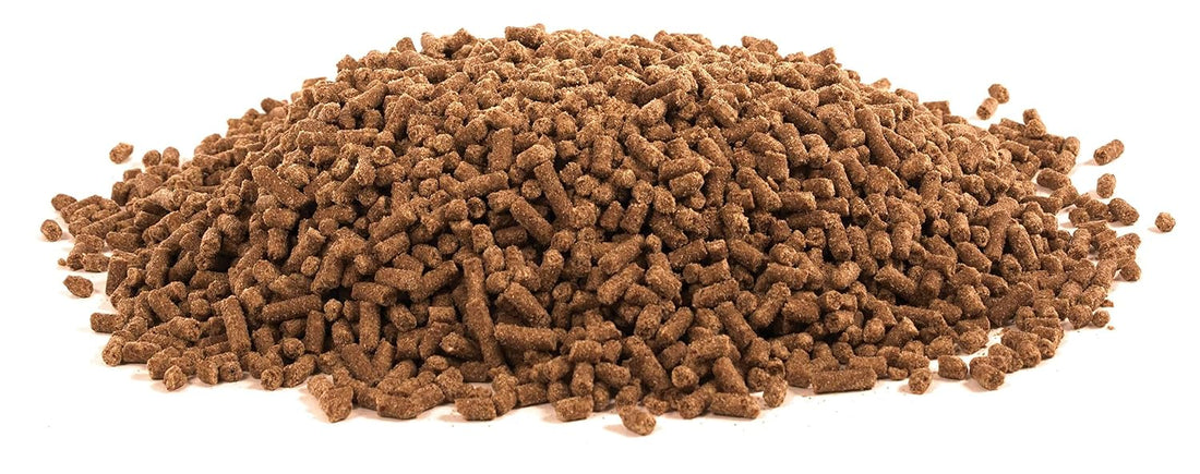 UltraCruz® Equine Electrolyte Plus, 5 lb