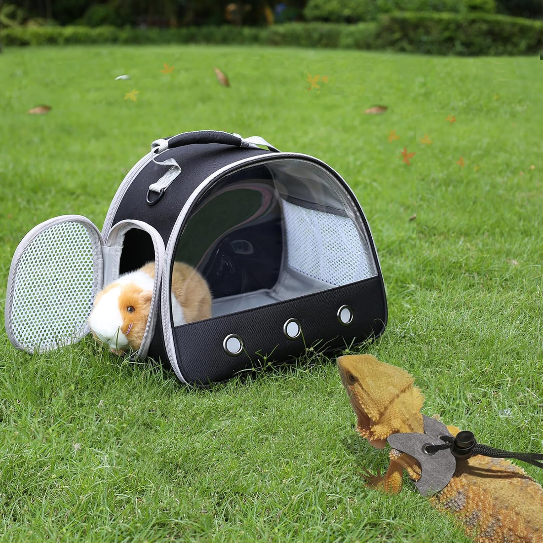 Lizard Adjustable Harness Leash,Bearded Dragon Harness Leash Set