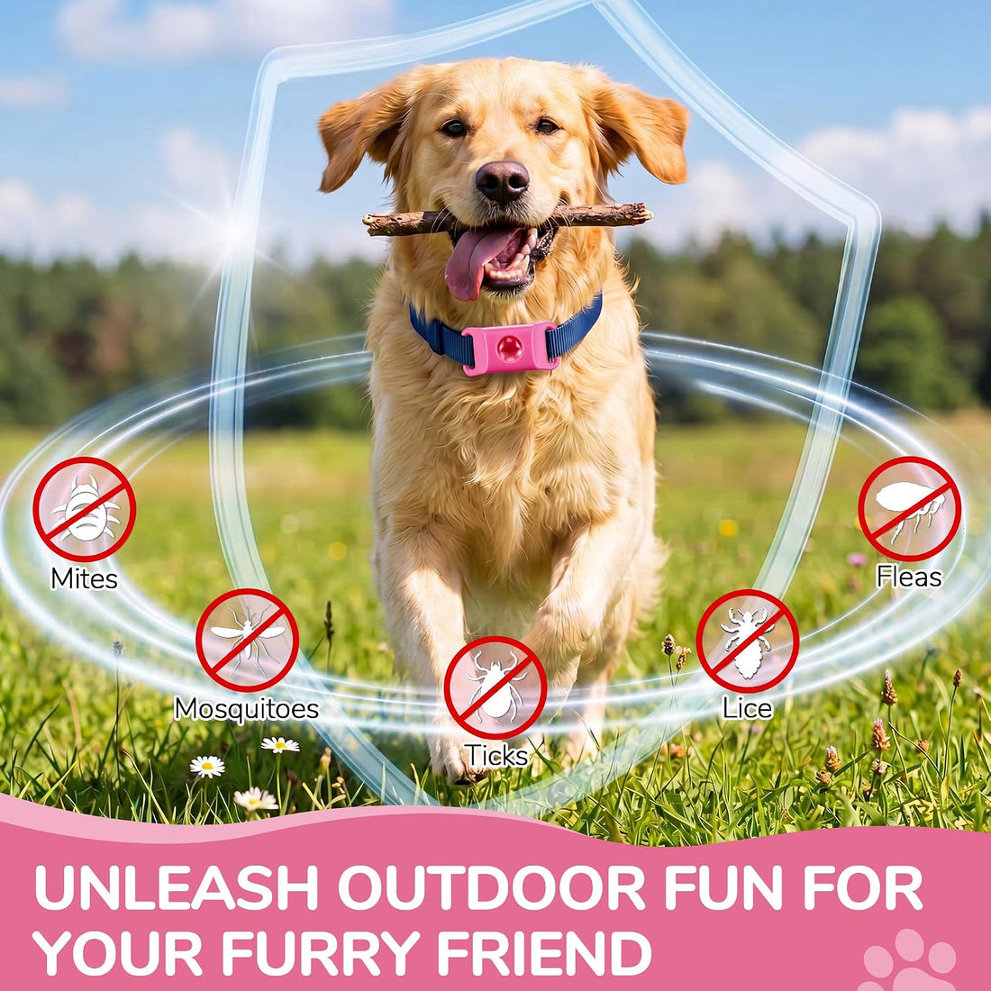 Pink Dog Tag for Flea & Tick Prevention with 2 Refills, Waterproof