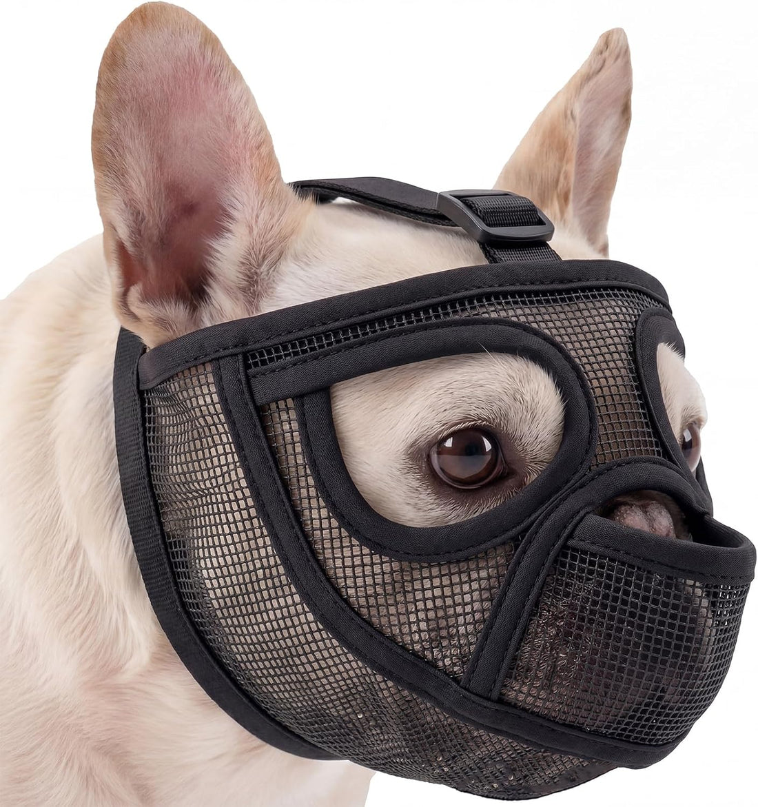 Pezluxe Short Snout Dog Muzzle