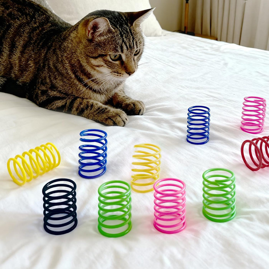 Cat Toys for Indoor Cats, 12 Pack Interactive Cat Spring Toys, 6Colors