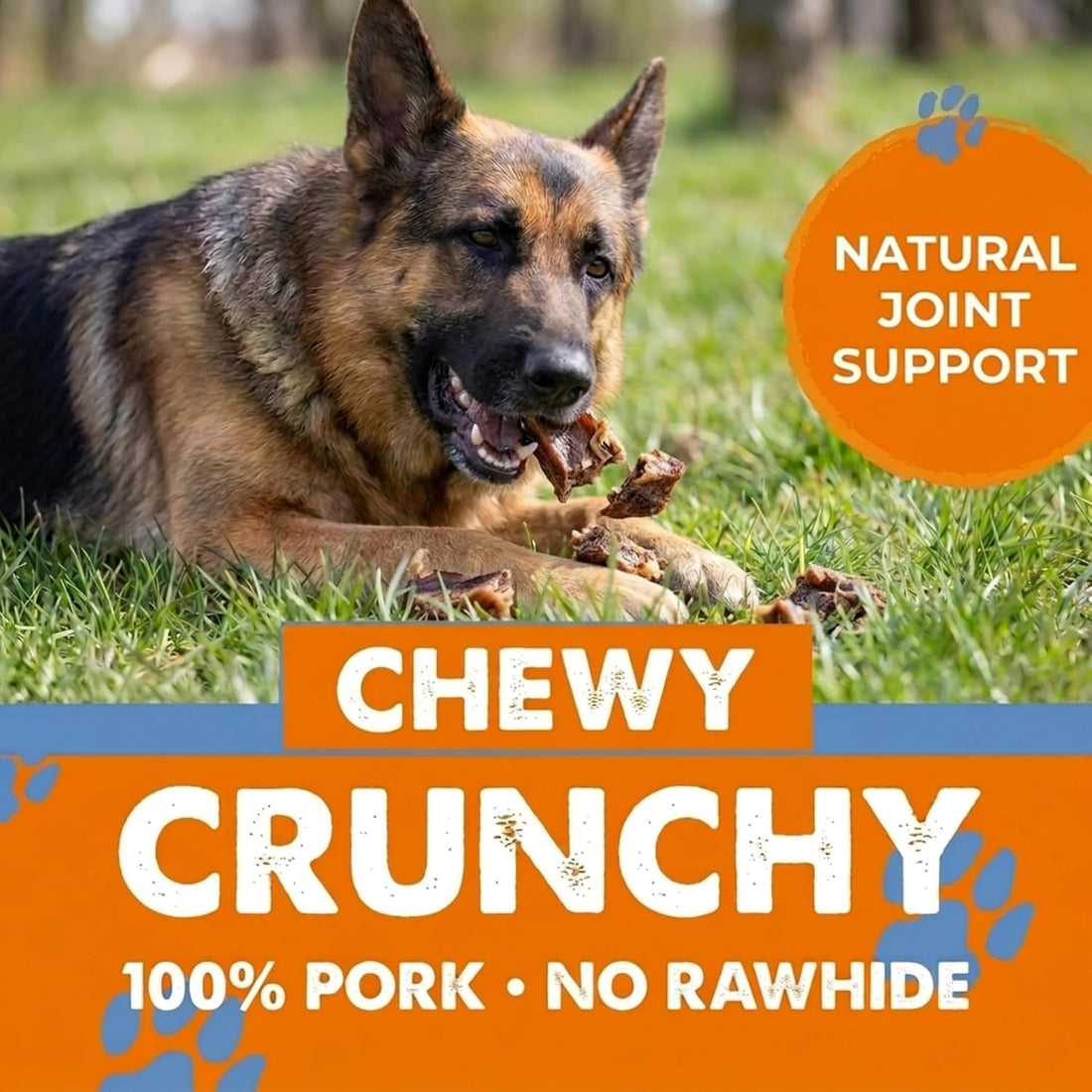 K9warehouse Bulk Pig Ear Bites for Dogs 100% Pork, Rawhide Alternative