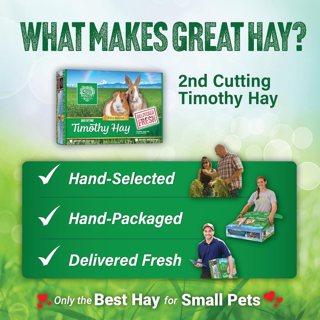 Small Pet Select 2nd Cutting Perfect Blend Timothy Hay Pet Food