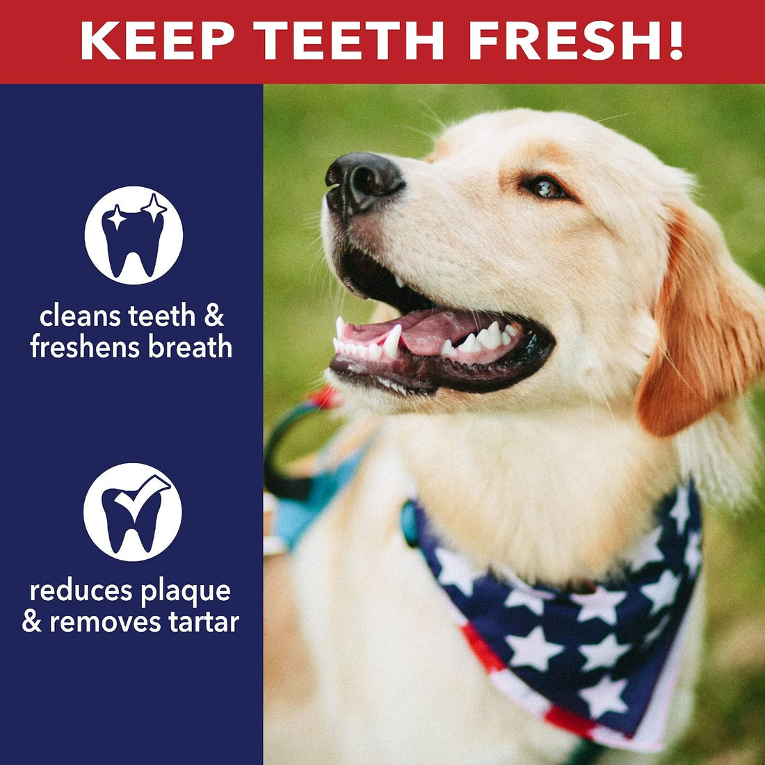 Pet Factory American Beefhide 5" Chip Rolls Dog Chew Treats