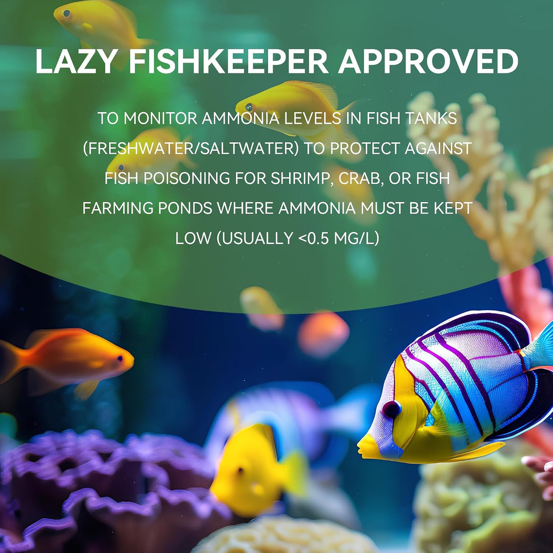 75-Count Ammonia Test Strips for Fish Tank
