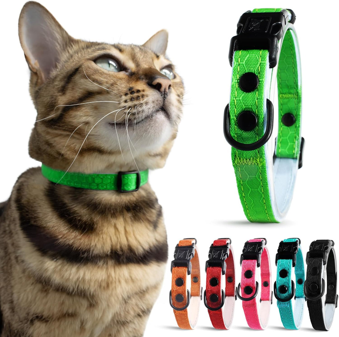 OutdoorBengal Durable Breakaway Cat Collar, No Bell (Blue, M/L)