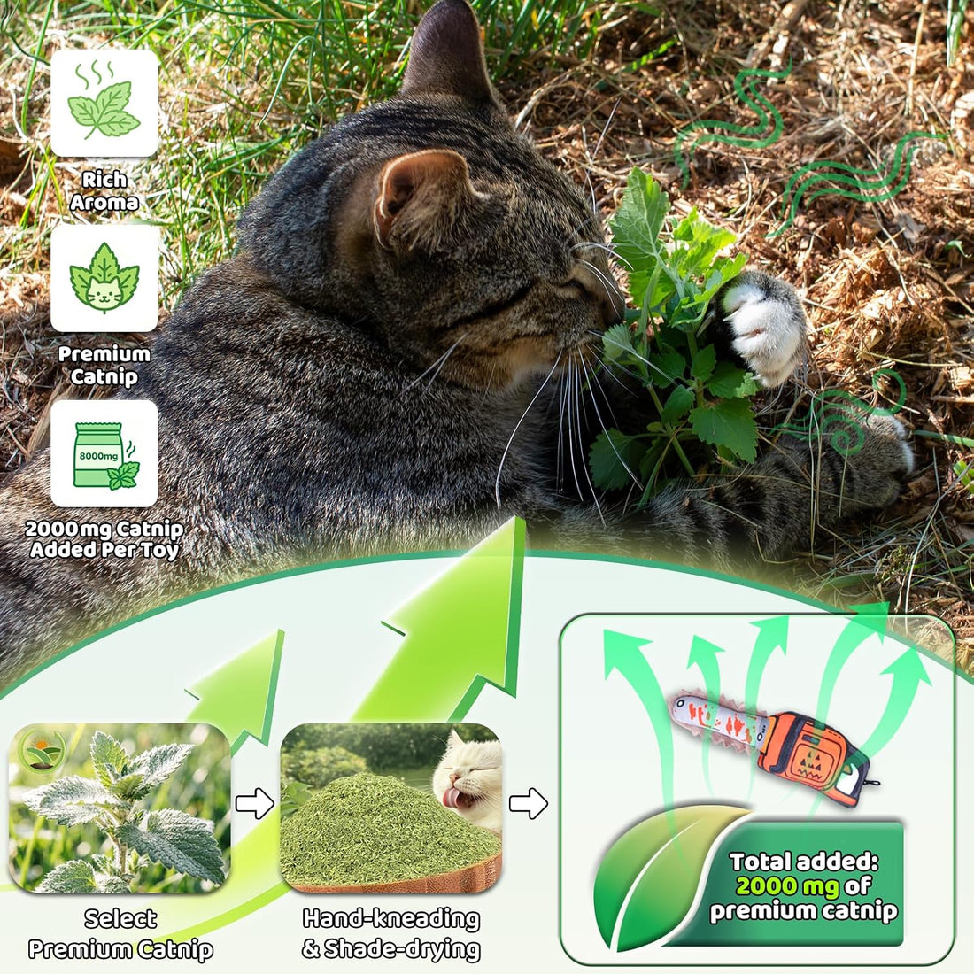 Catnip Toy [2000mg Premium Catnip], Chainsaw Style Cat Kicker Toy