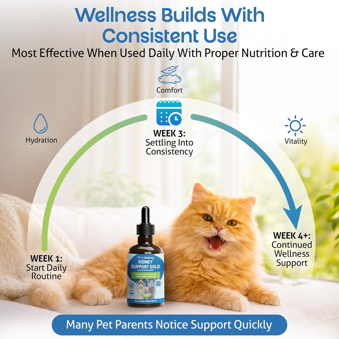 Pet Wellbeing Kidney Support Gold for Cats