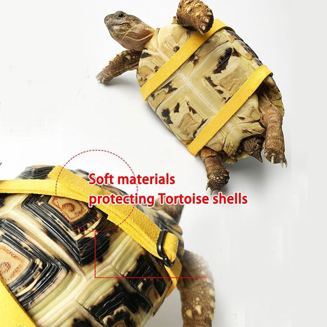 Pet Tortoise Leather Harness & Leash - Small Tortoise Supplies