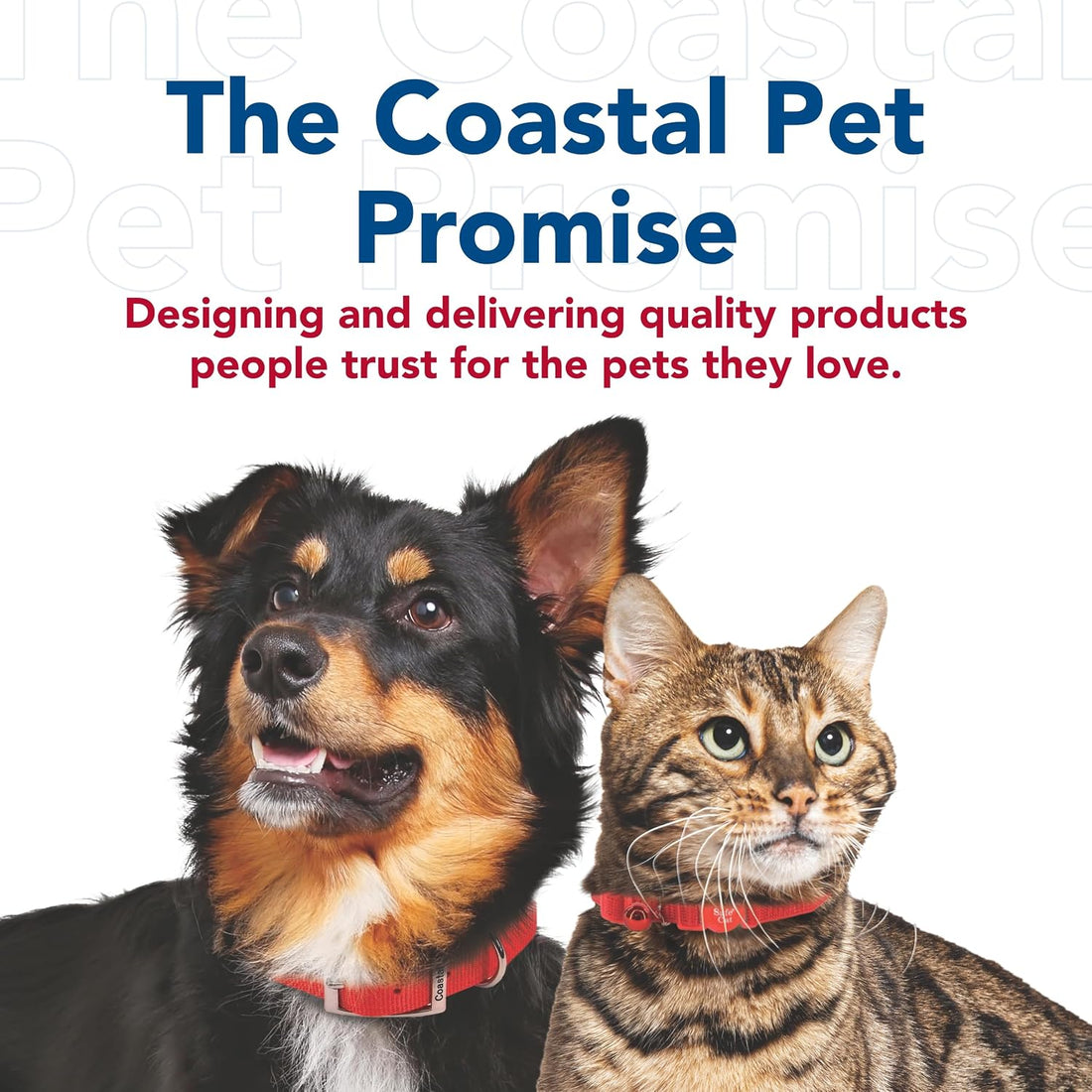 Coastal Pet Single-Ply Dog Leash - Sturdy Pet Leash