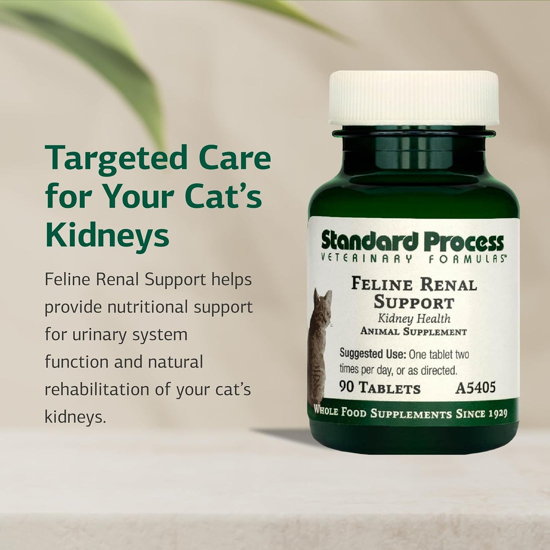 Standard Process Inc. Feline Renal Support