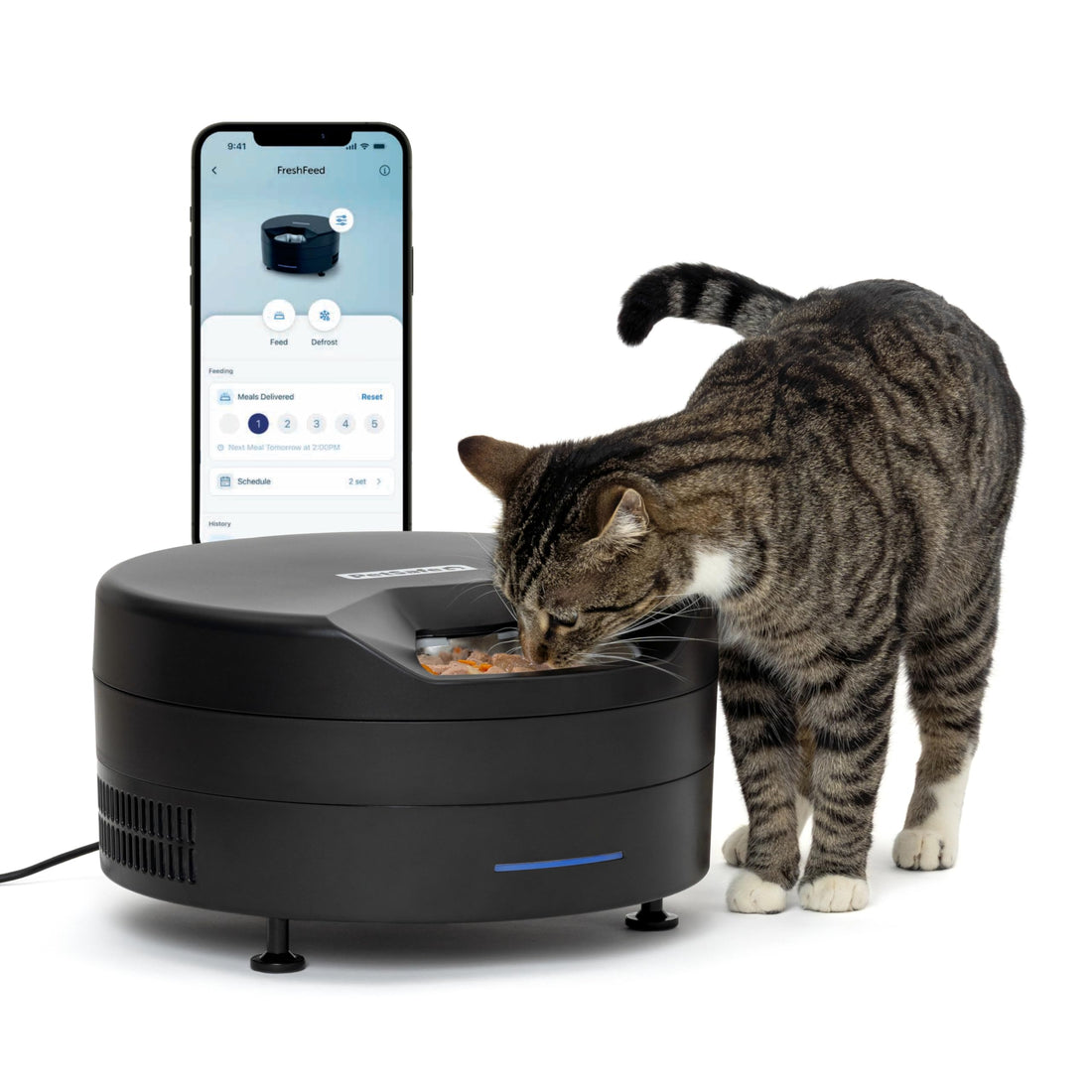 PetSafe FreshFeed Refrigerated Pet Feeder Automatic Wet Food Feeder