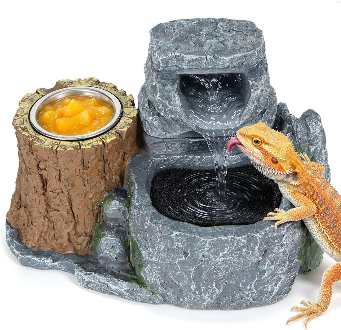 Bearded Dragon Water Fountain with 2 Stainless Steel Feeding Bowls