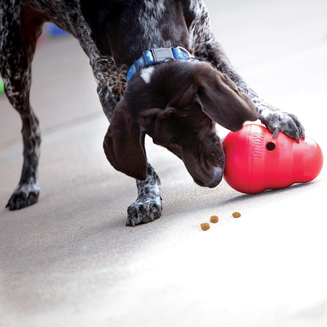 KONG Wobbler - Interactive Dog Toy for Treat Dispensing