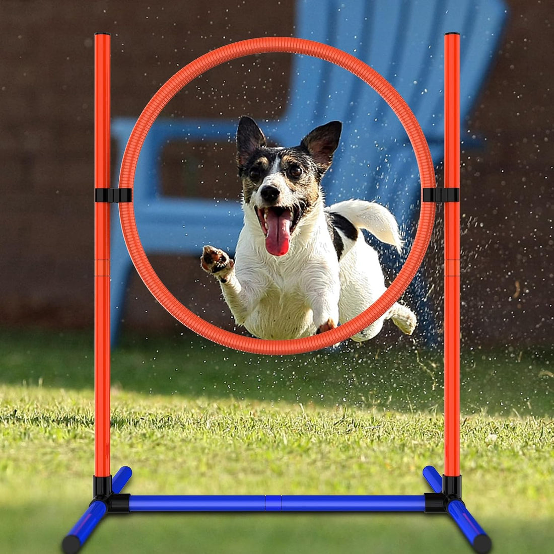 Dog Agility Set, Jump Ring, Jump Poles, Pause Box & Bag