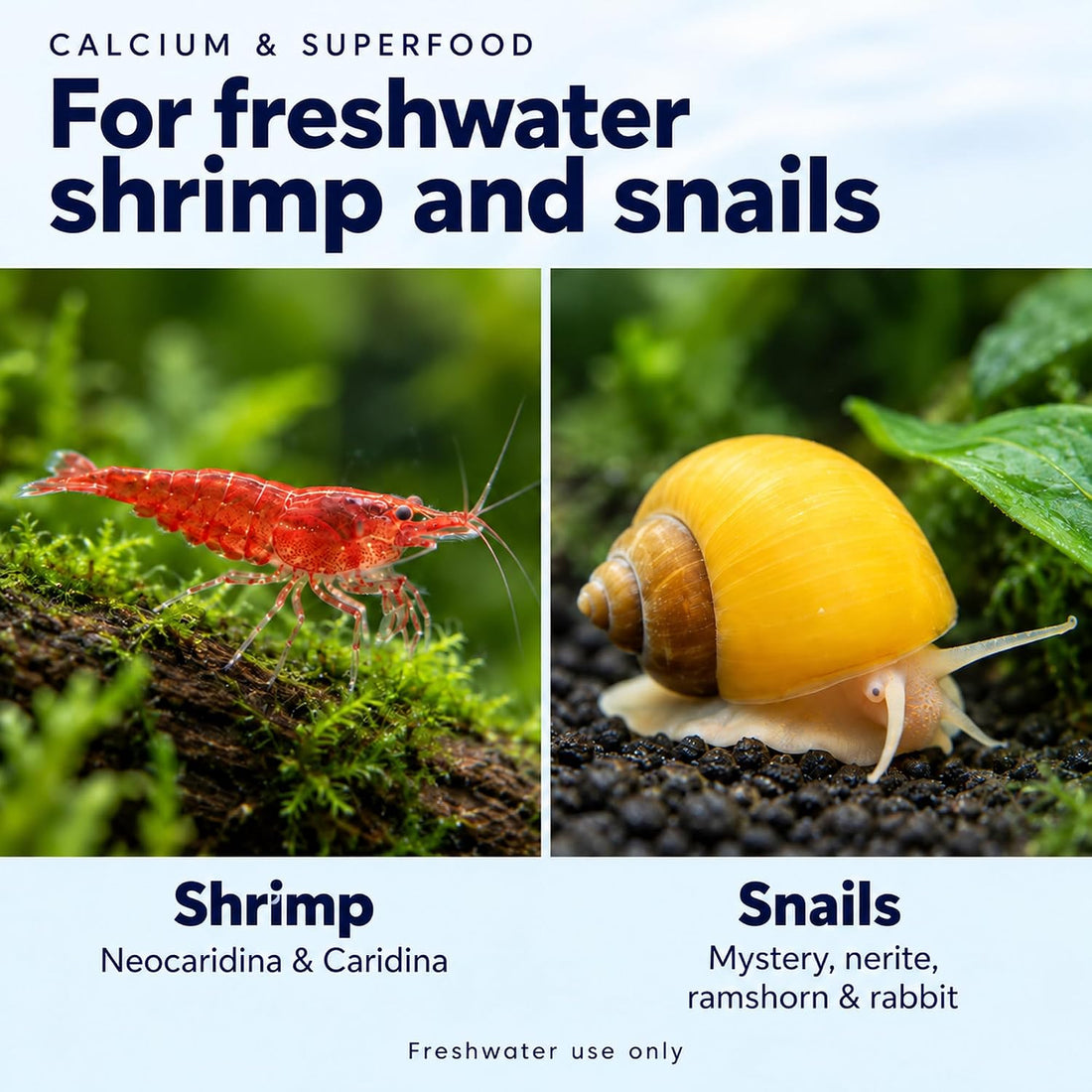 Shrimp Bites Calcium & Superfood Formula