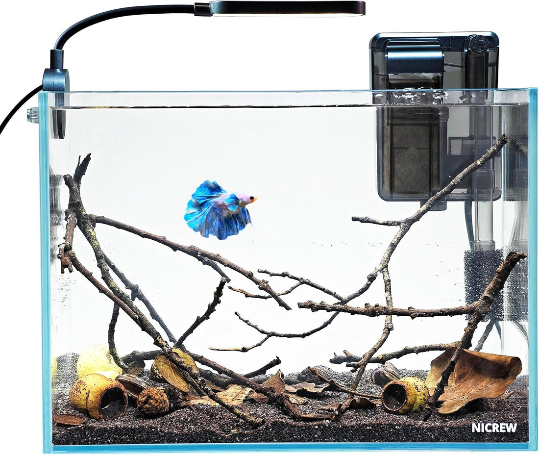NICREW 2.5 Gallon Nano Nature Aquarium Kit Betta Fish Tank, Complete