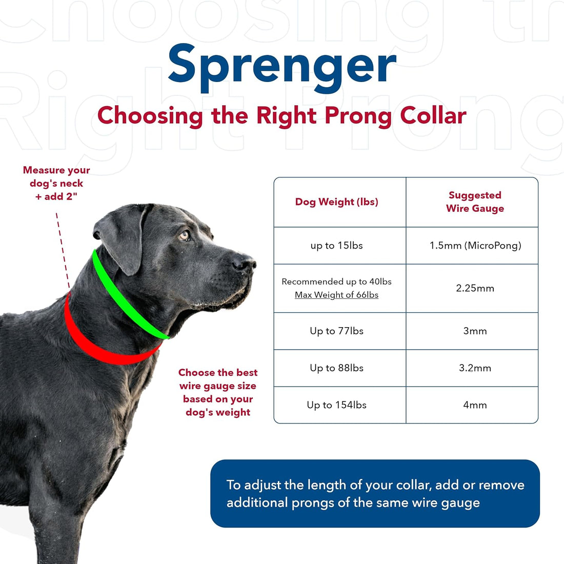 Herm SPRENGER Ultra-Plus Prong Dog Training Collar