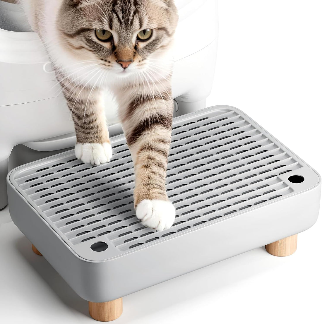 Thereye Cat Litter Box Step Stool