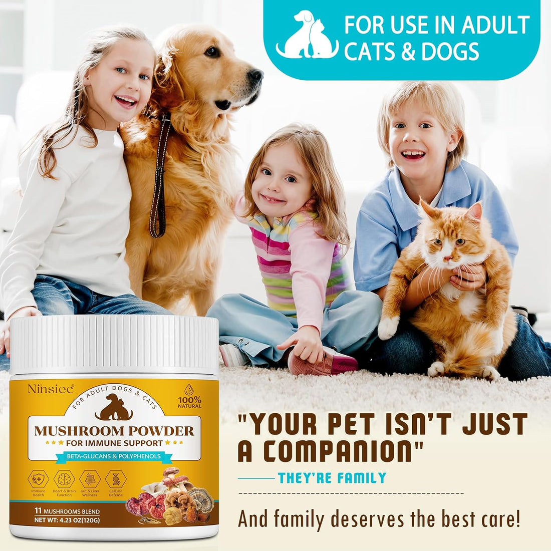 Mushroom Supplement Powder for Dogs & Cats