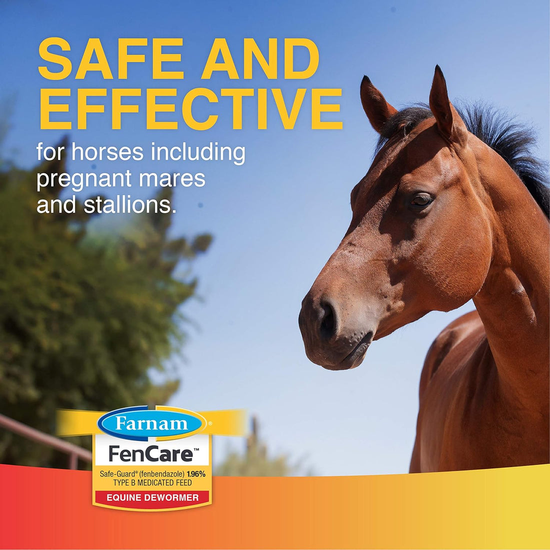 Farnam FenCare Safe-Guard 1.96% Equine Dewormer 5 Ounces