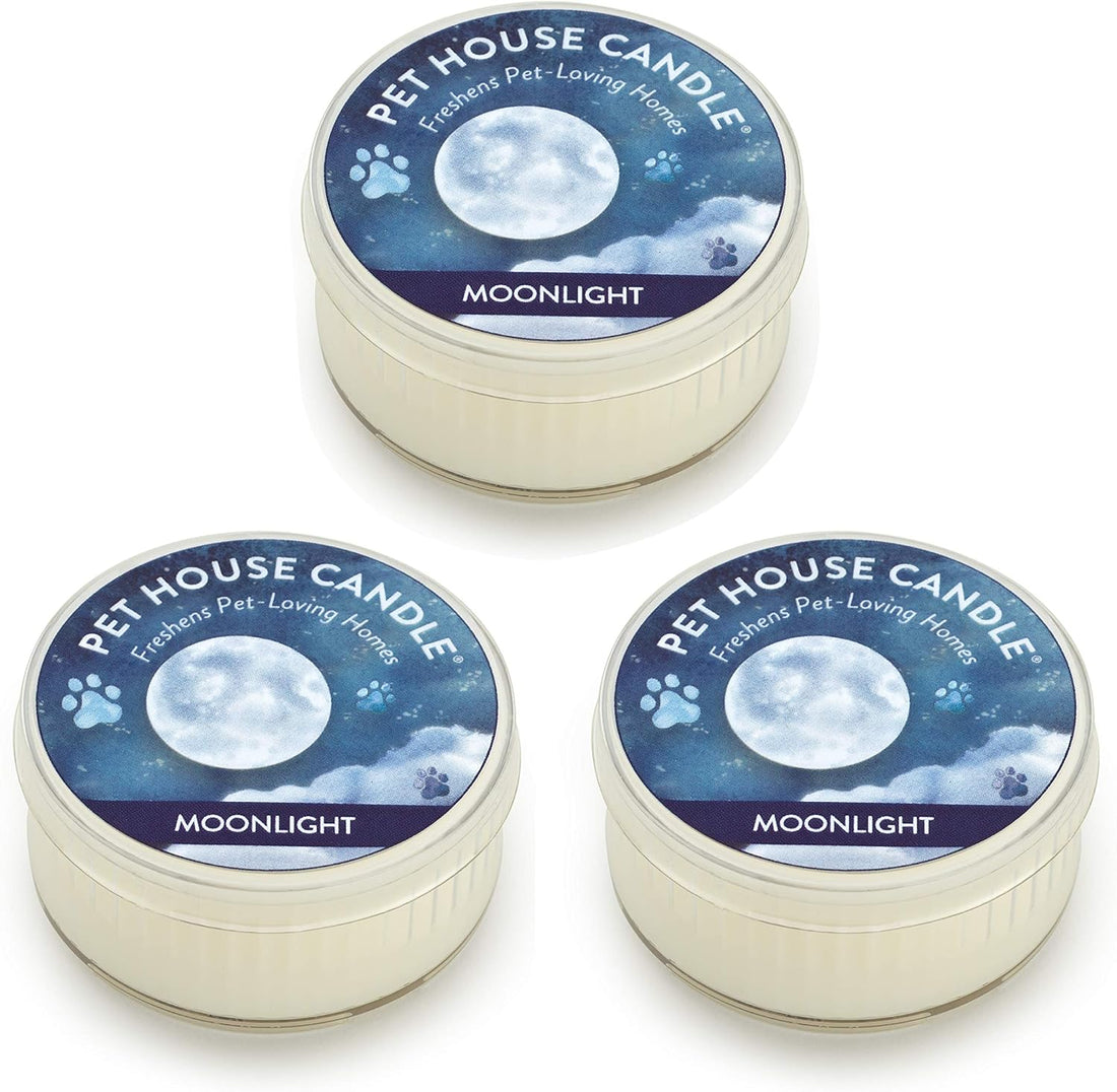 Evergreen Forest Mini Candles Plant-Based Wax, 3 Pack Pet House