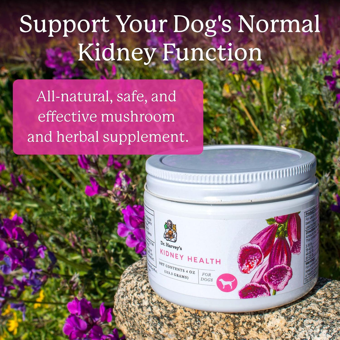Dr. Harvey's Kidney Health Kidney Support Supplement for Dogs