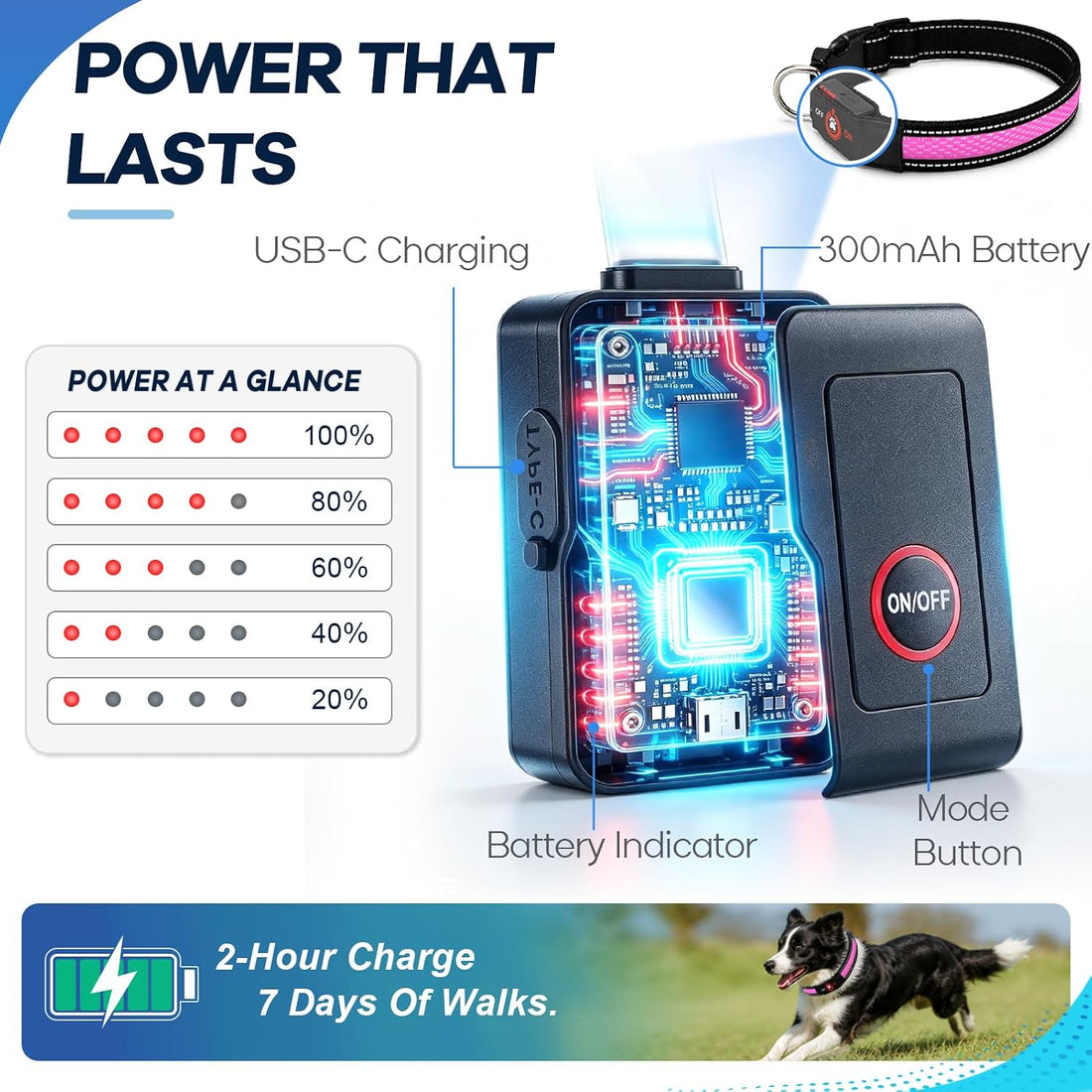 Light Up Dog Collar for Large Dogs, Super Bright Glow Collar
