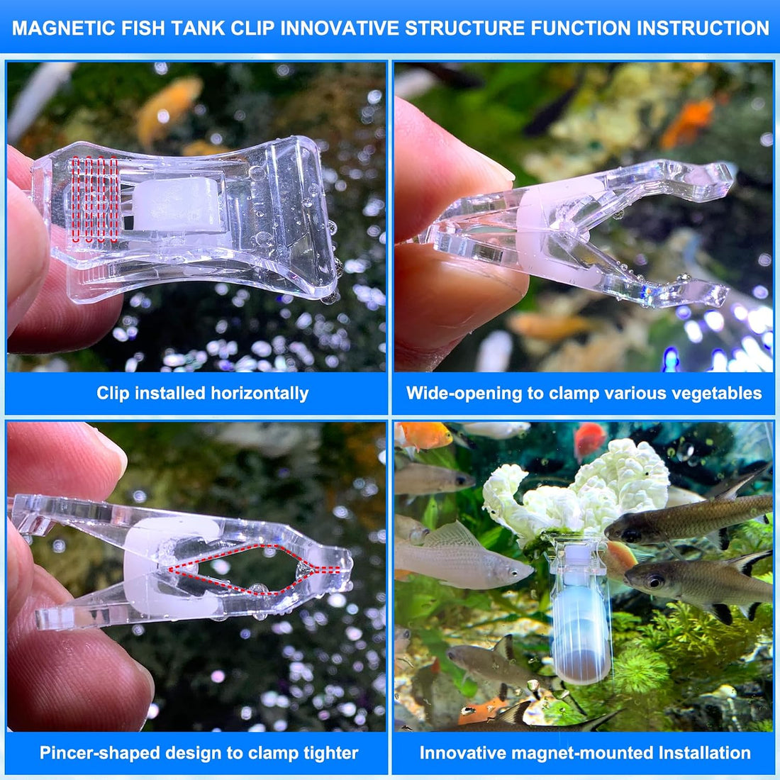 Magnetic Aquarium Veggie Clip Plant Feeding nori Seaweed Clip