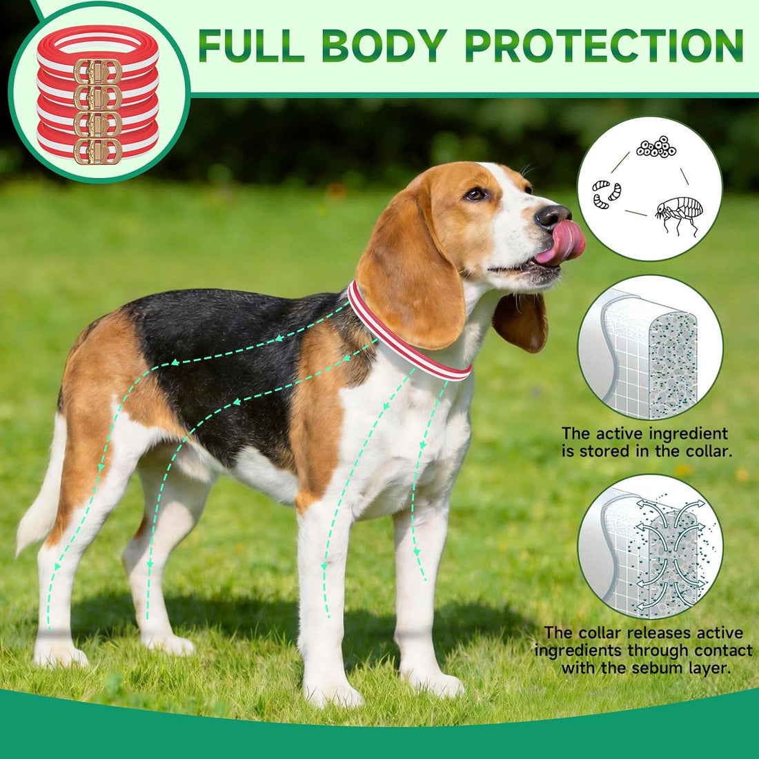 Flea Collar for Dogs, 4 Pack Flea and Tick Prevention for Dogs